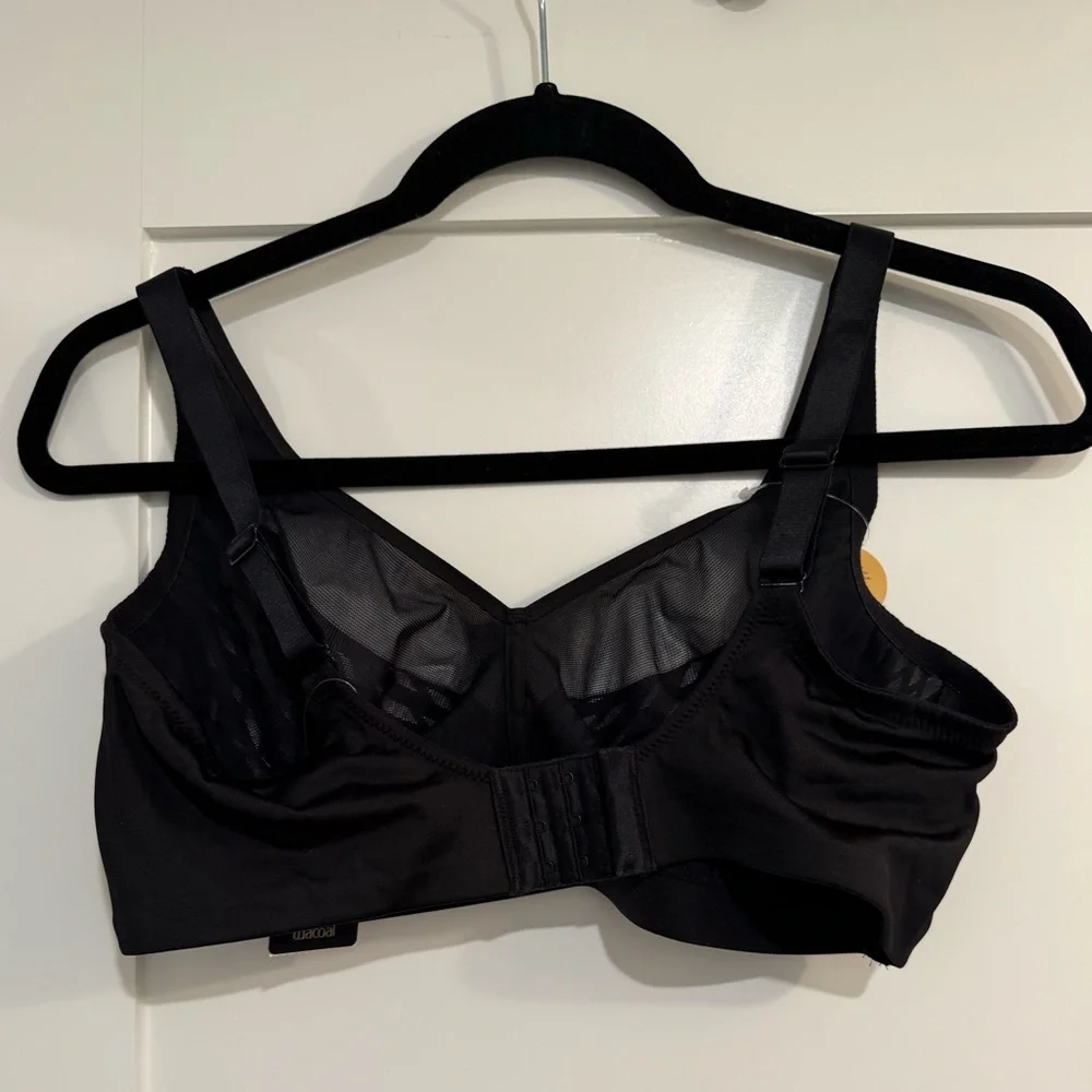 WACOAL Elevated Allure Wire-Free Bra - Picture 11 of 11
